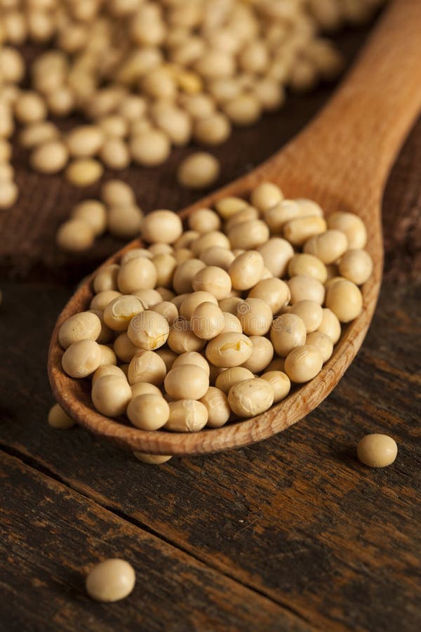 Organic Dry Soy Beans stock image. Image of soybean, fresh 32393293