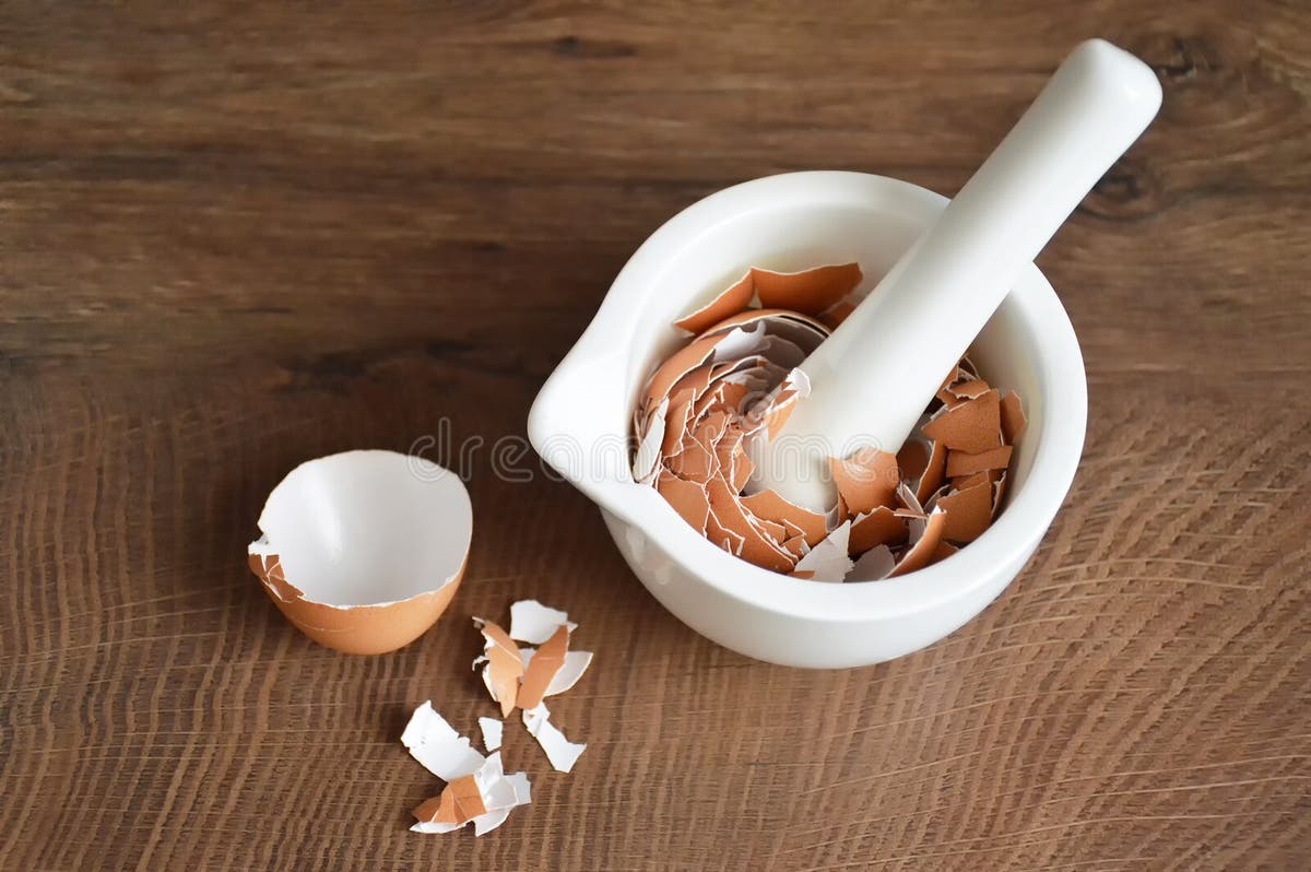 crushed-eggshells-plants-stock-photos-free-royalty-free-stock
