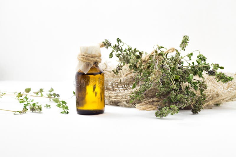 Organic Essential Thyme Oil with Green Leaves. Stock Photo Image of