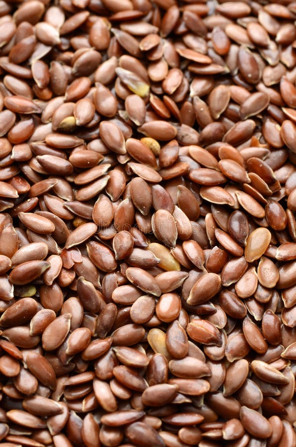 Organic Flax seed stock photo. Image of health, nutrition 64664650