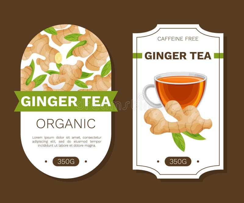 Organic Ginger Product Label Design with Root Vector Template Stock Organic Ginger Product Label Design with Root Vector Template Stock