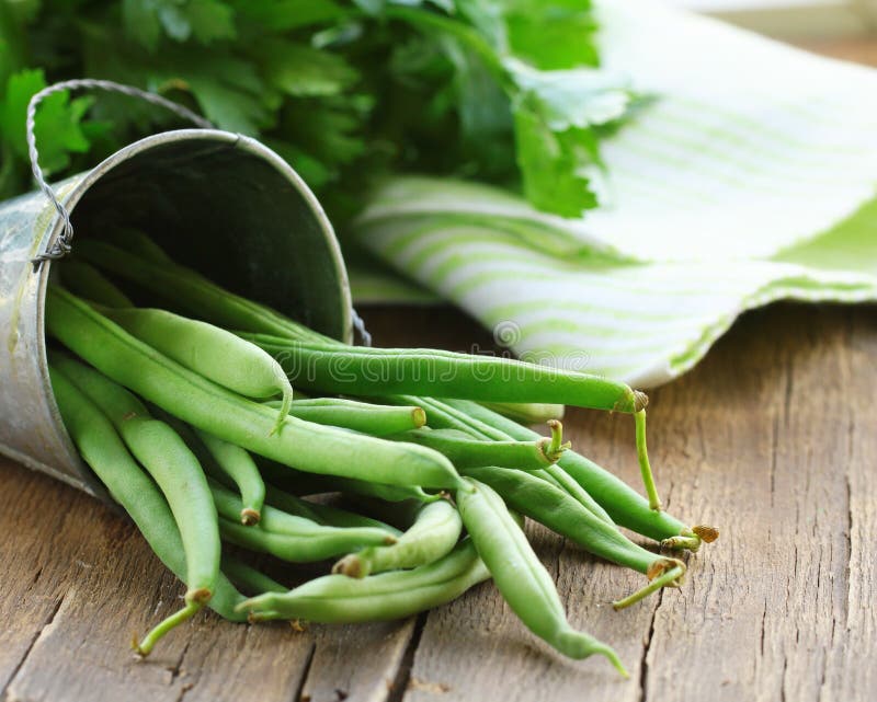 Organic green beans stock photo. Image of legume, agriculture 77903542
