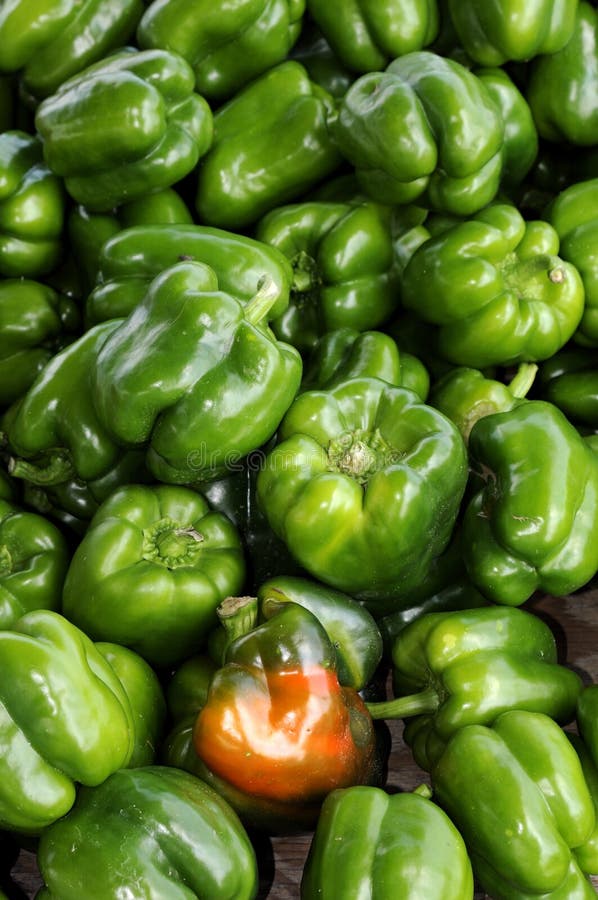 1+ Green peppers turning red Free Stock Photos StockFreeImages