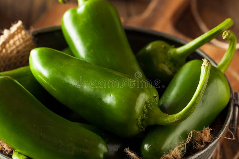 Organic Green Jalapeno Peppers Stock Photo Image of healthy, organic