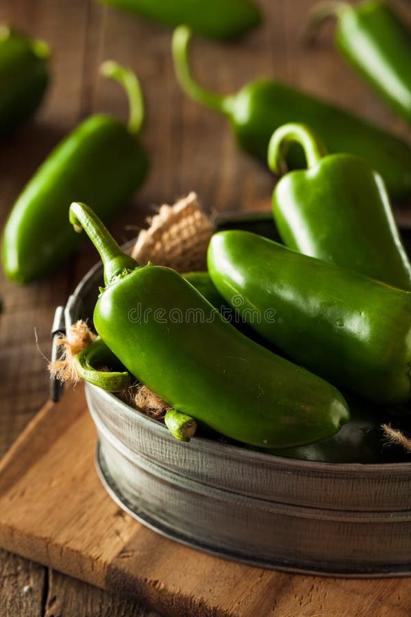 Organic Green Jalapeno Peppers Stock Image Image of seed, ripe 58234791
