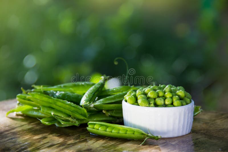 Organic Green Peas. Protein for Vegans Stock Image Image of legume