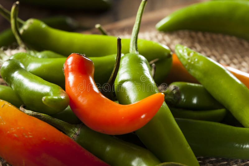 Organic Green Spicy Serrano Peppers Stock Photo Image of bell, chilli