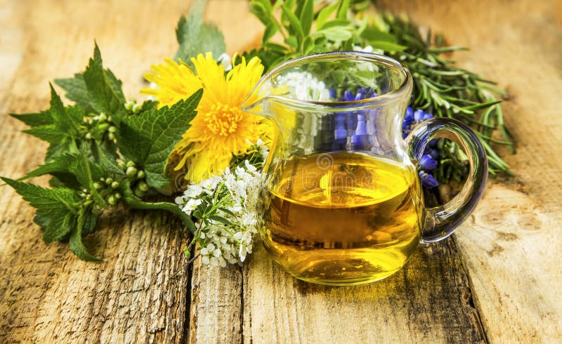 Organic herbal oil with plants, dandelion, mint, nettle, rosemary herbs, alternative medicine body care on wooden background royalty free stock photos Organic herbal oil with plants, dandelion, mint, nettle, rosemary herbs, alternative medicine body care on wooden background royalty free stock photos