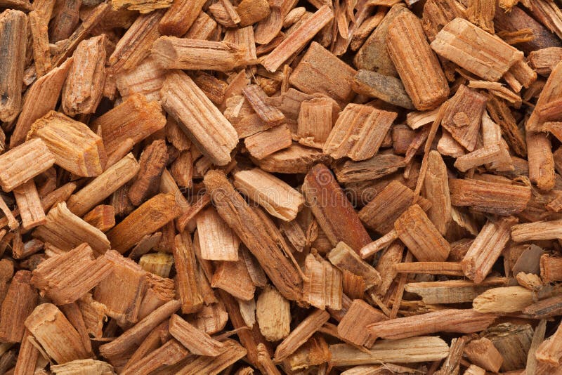 Organic Himalayan cedar (Cedrus deodara) Chips. stock image