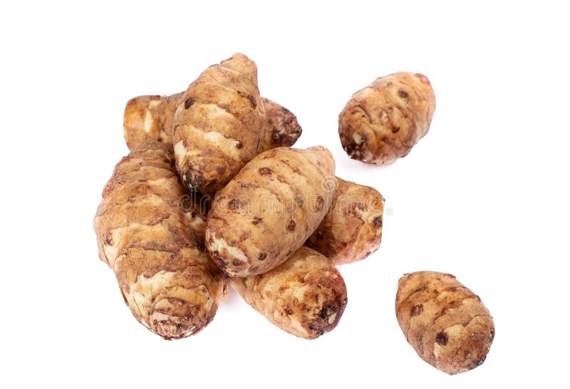 Fresh Raw Organic Jerusalem Artichokes stock photography Fresh Raw Organic Jerusalem Artichokes stock photography