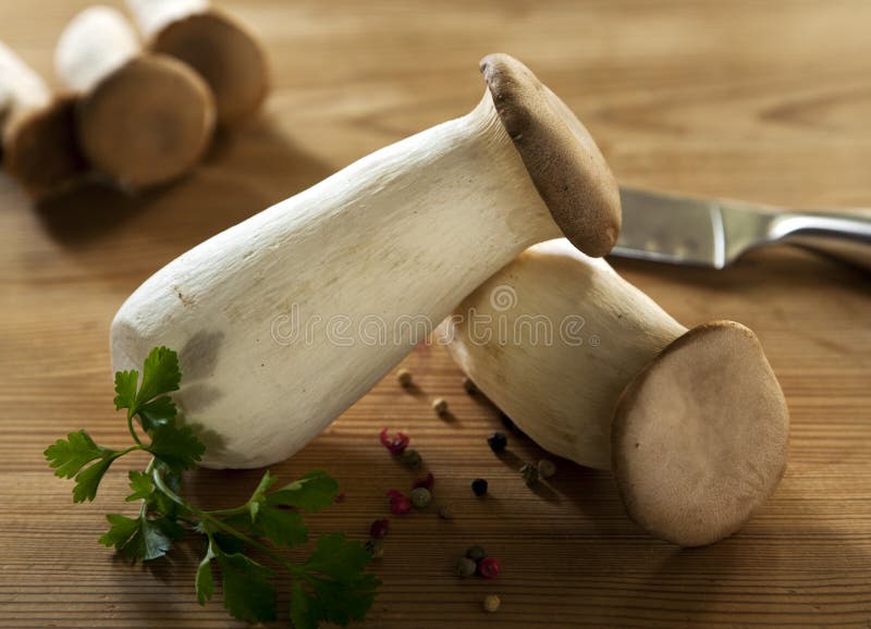 Organic King Oyster Mushrooms Stock Photo Image of oyster, king 26716570