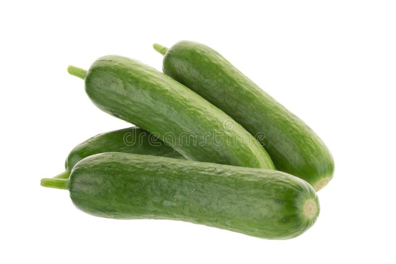 Organic Mini Baby Cucumbers isolated on white background