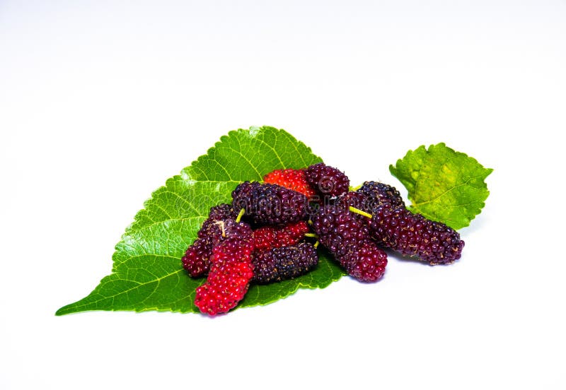 Fruits Vegetables Separate Stock Photos Free & RoyaltyFree Stock