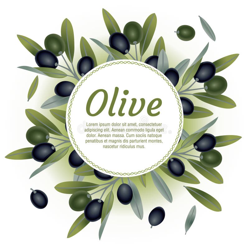 Organic Natural Food Olive Tree Branch Background Vector Illustration
