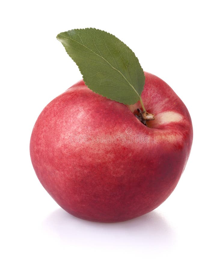 Organic nectarine stock image. Image of healthy, fruit 32750897