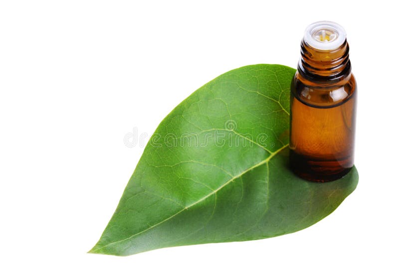 Organic Oil with a Green Leaf Stock Image Image of beauty, tropical