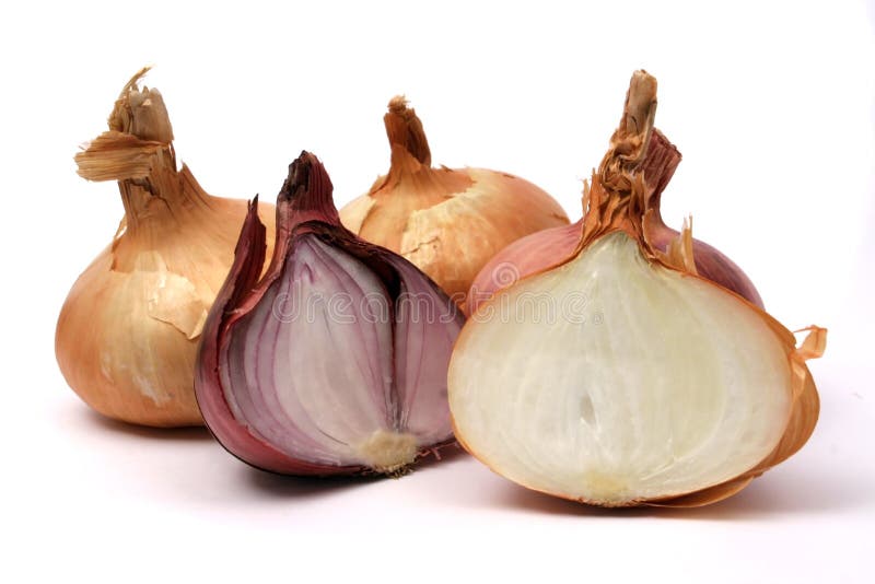 Dark Market Onion