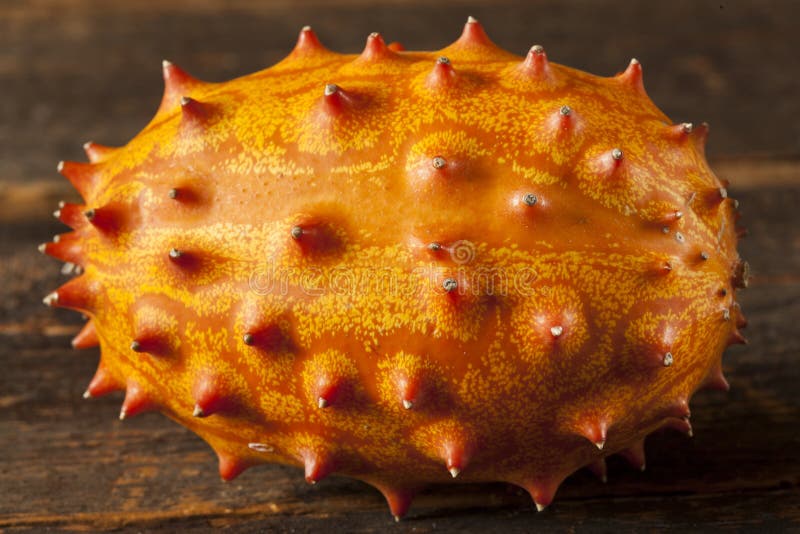 Organic Orange Kiwano Melon Stock Image Image of organic, fruit 31673943