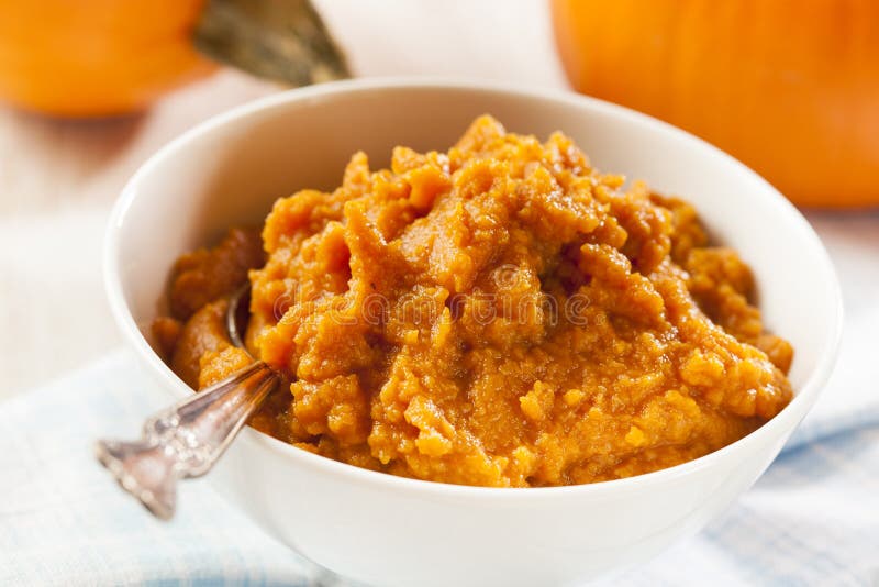 Organic Orange Pumpkin Puree Stock Image Image of autumn, fall 34288071