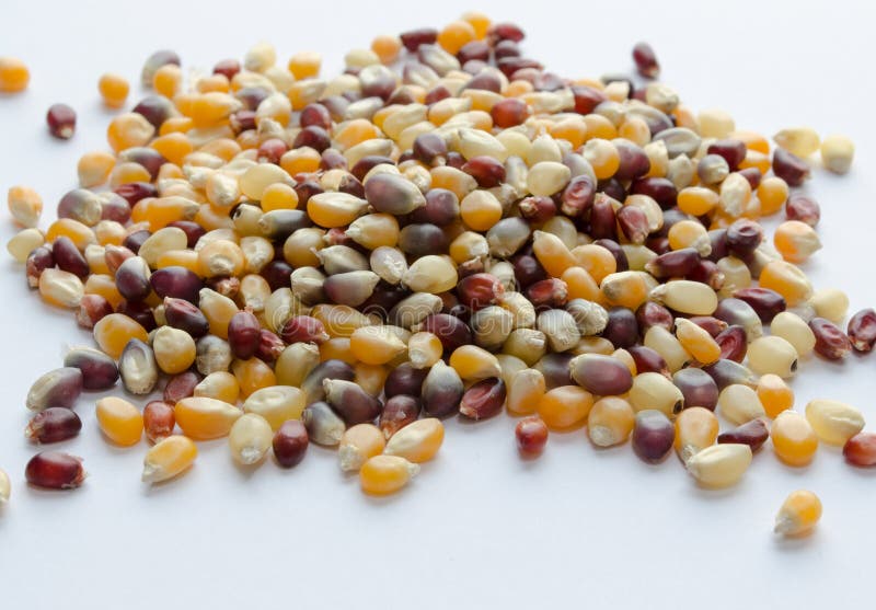 Organic Popcorn Kernels