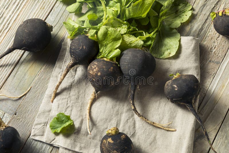 Organic Raw Black Radishes