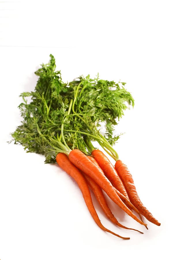 Organic Raw Carrots stock photo. Image of ripe, organic 17284072