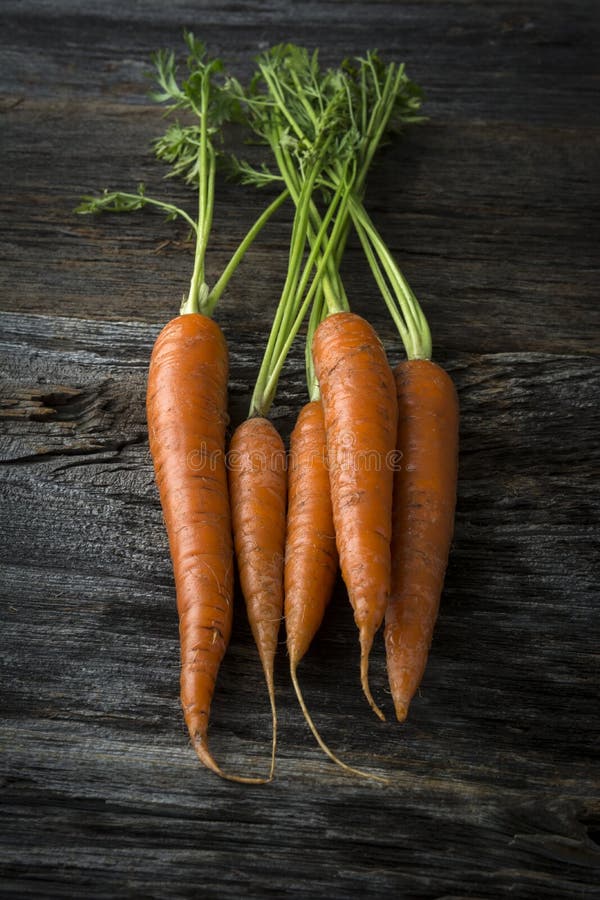 Organic Raw Carrots with Greens