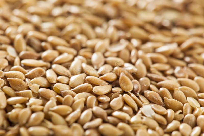 Organic Raw Flax Seeds stock photo. Image of food, fiber 39371732