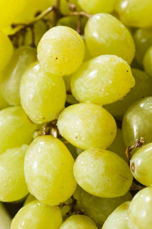 Organic Raw Green Grapes stock image. Image of natural 45994789