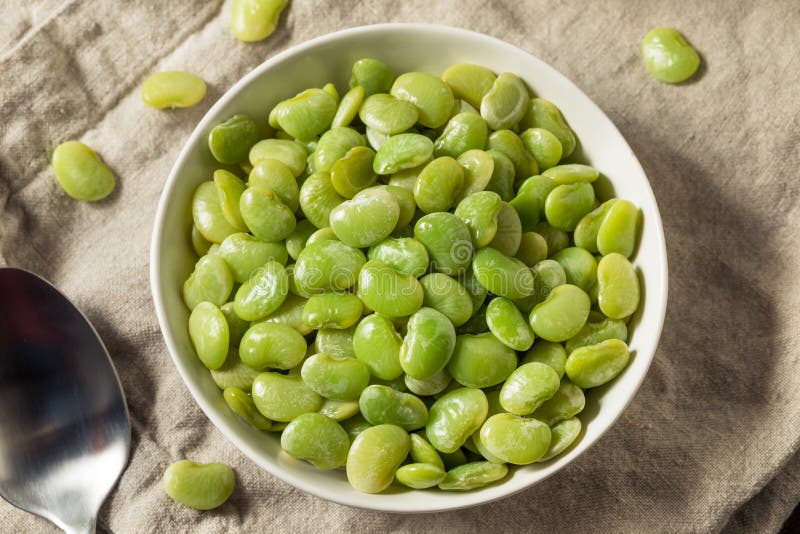 Organic Raw Steamed Green Lima Beans Stock Photo Image of ingredient