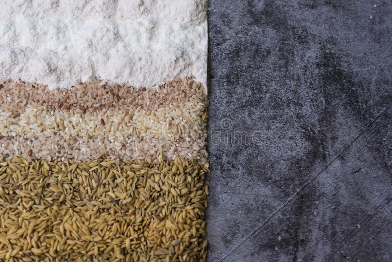 Organic Rice Grains and Homemade Rice Flour the Culinary Ingredient on