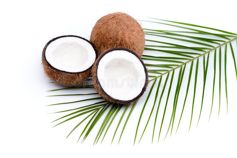 Organic Ripe Coconuts with Green Palm Leaf on Coconut Leaf Stock Image