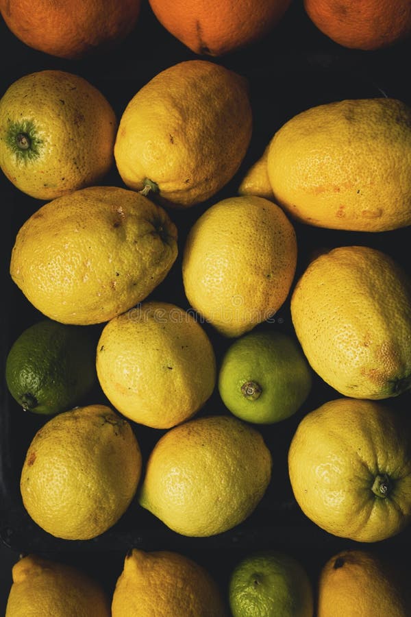 Organic and Ripes Lemons and Limes Stock Image Image of limes, juice