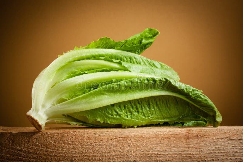 Organic romain lettuce