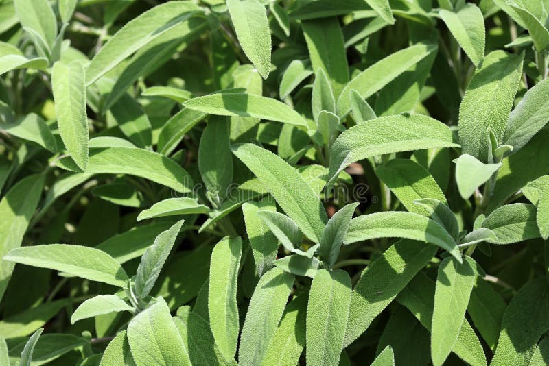 Bernhard Richter (Ben185) Photographer profile