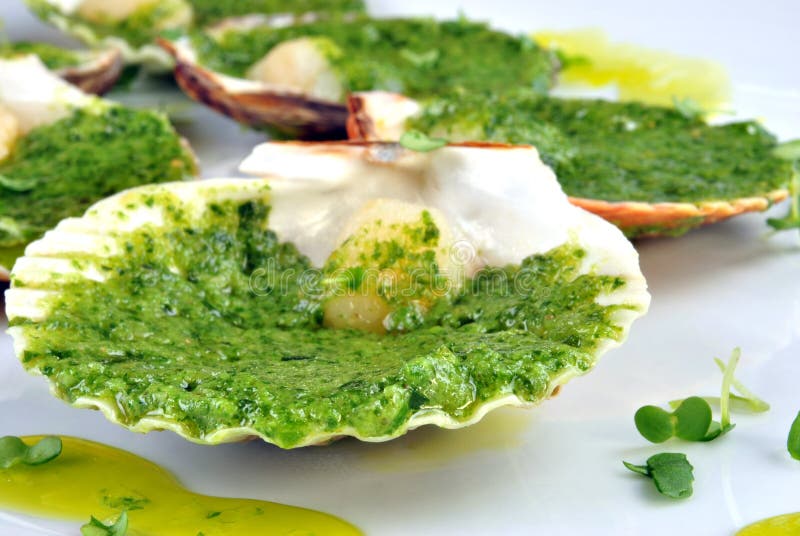 Organic Scallop and Herbed Butter on a Plate Stock Photo Image of