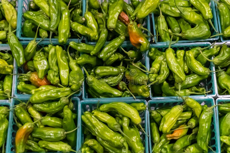 Organic Shishito Peppers from Above Stock Photo Image of market, sale