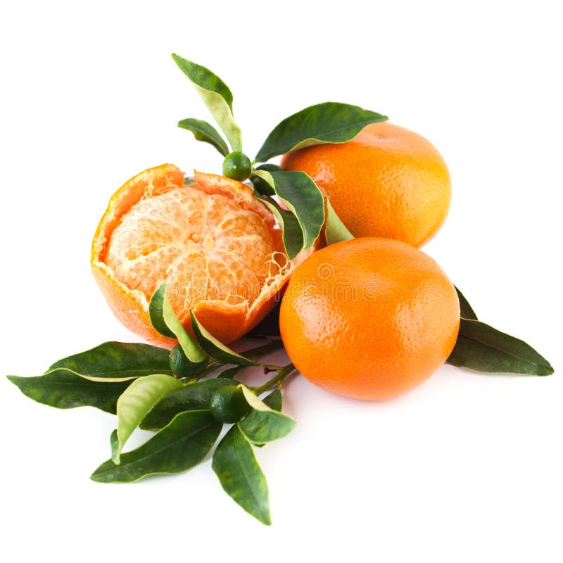 Organic Tangerine Fruit with Green Leaves Stock Image Image of orange