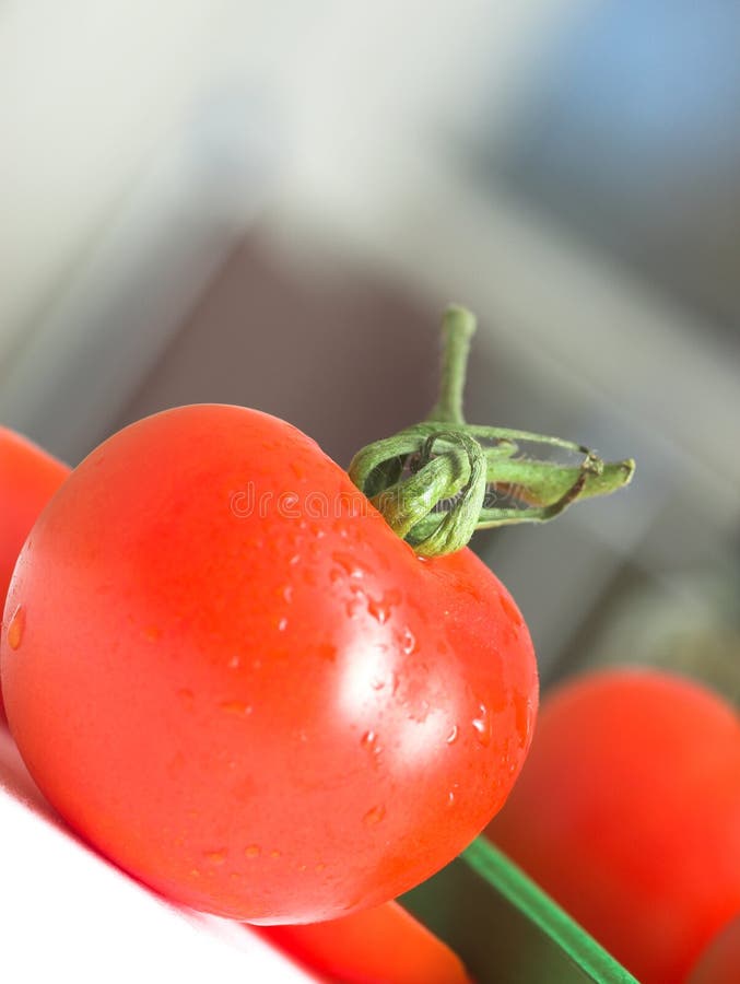 Organic Tomatoes