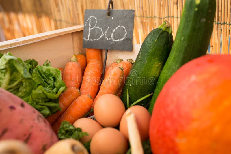 Organic vegetable basket stock photo. Image of reasoned 84732538