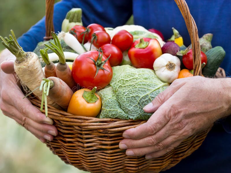 Organic vegetables in hands