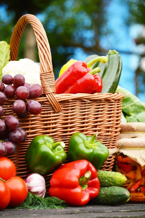 Organic Vegetables in Wicker Basket in the Garden Stock Image Image