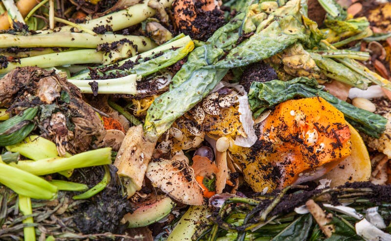 Organic waste stock photo