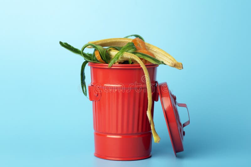 Organic Waste in a Red Trash Can. Recycling and Sorting of Garbage, Food and Organic Waste Stock