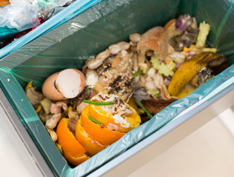 Organic waste sorting stock photography