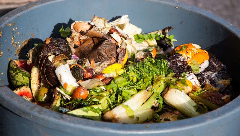Organic waste royalty free stock image