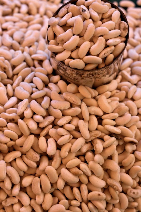 Organic White Beans Vegetable for Sale in Market Stock Image Image of