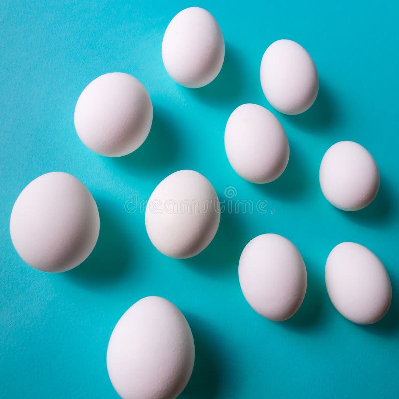 Organic White Eggs in a Raw on Aqua Pastel Backgound Stock Photo