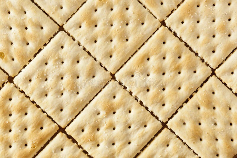 Organic Whole Wheat Soda Crackers Stock Photo Image of white, biscuit