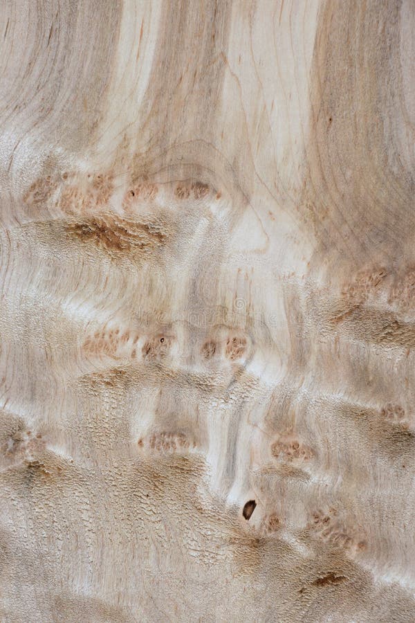 Balsa wood sticks background and texture Stock Photo